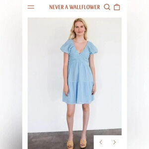 NWT! Never a Wallflower Coco Short Sleeve Dress. Air Stripe (light blue). XS